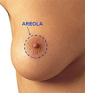 Areola Picture